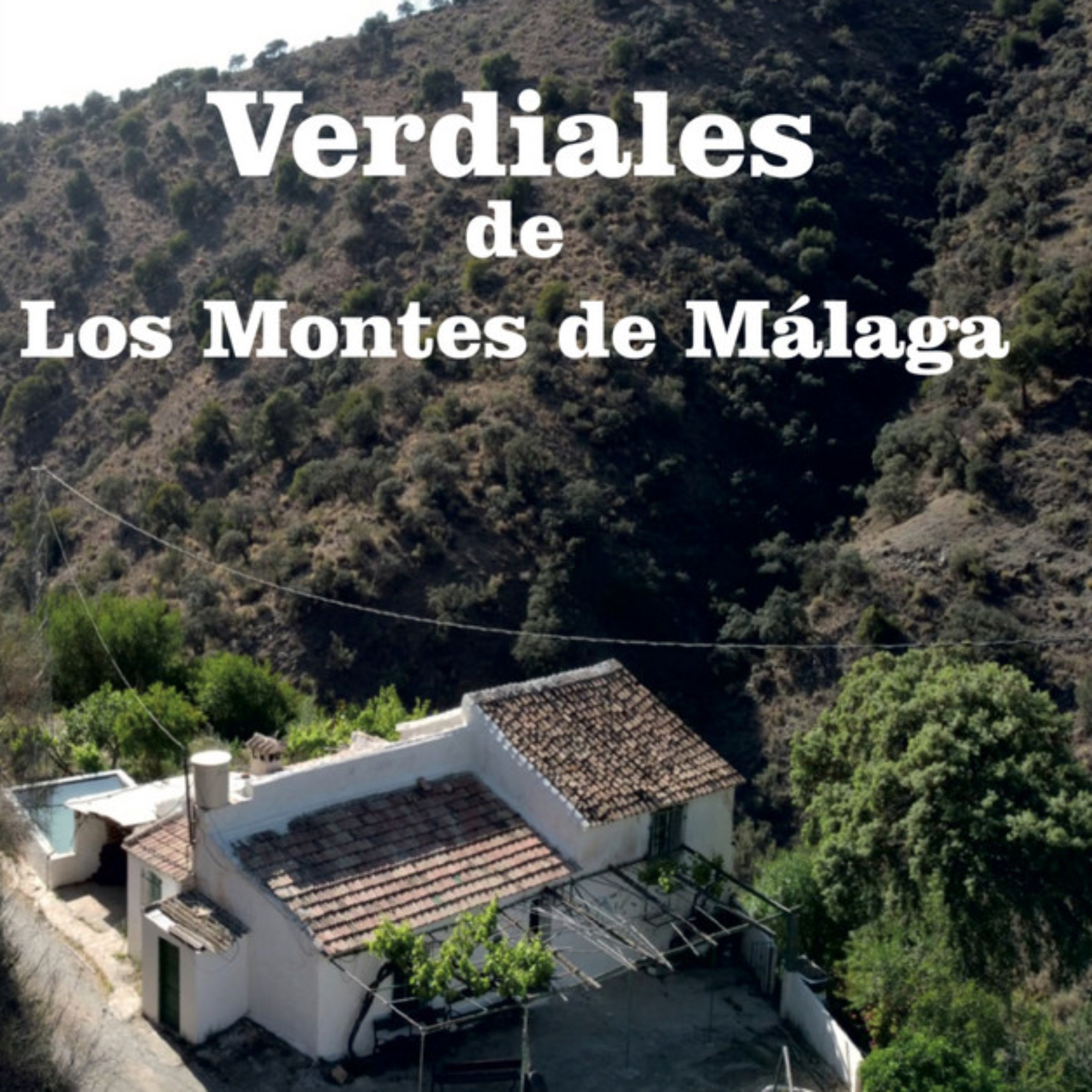 Verdiales de los Montes de Málaga CDIG003